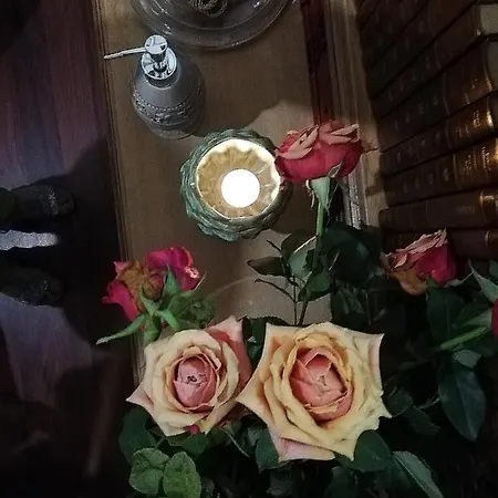 בית הארחה La Corredera טואי